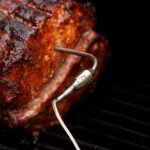 Fireboard RTD Food Probe