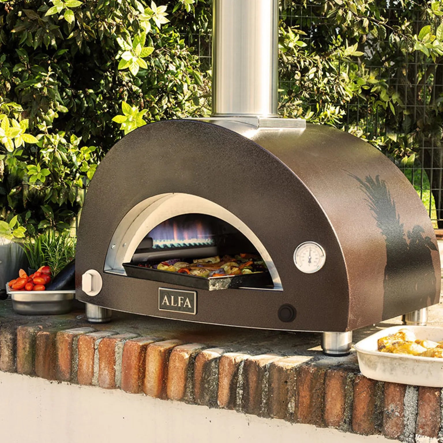 Alfa Moderno Nano Pizza Oven-Gas OR Wood-Fired