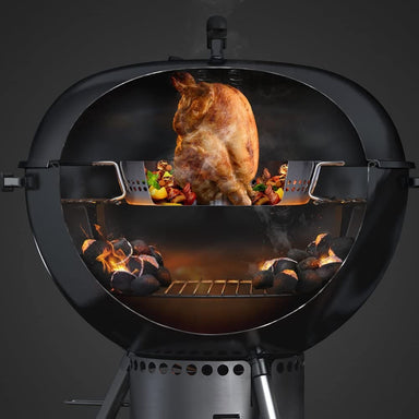 Poultry Roaster - GBS-TheBBQHQ