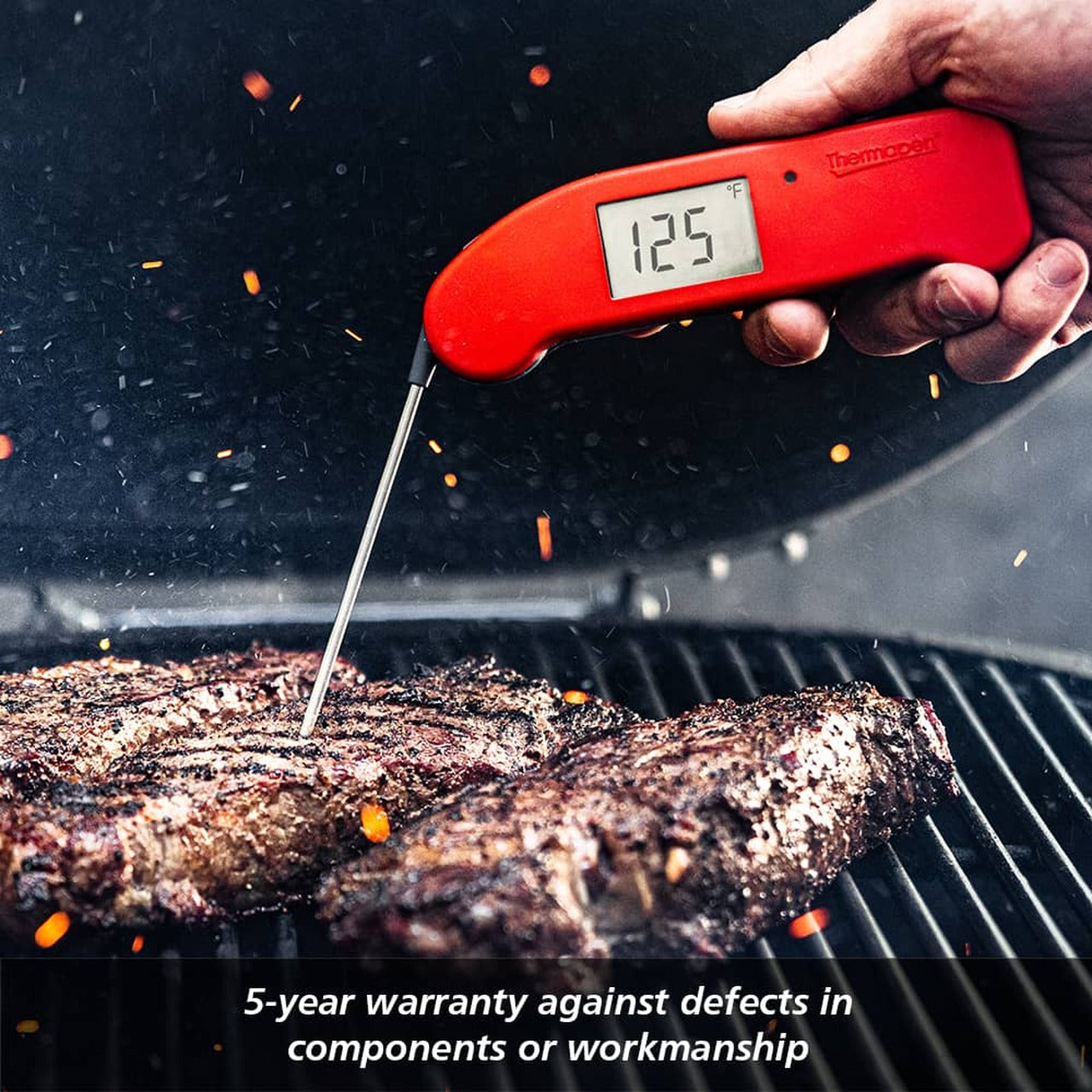 Thermapen® ONE